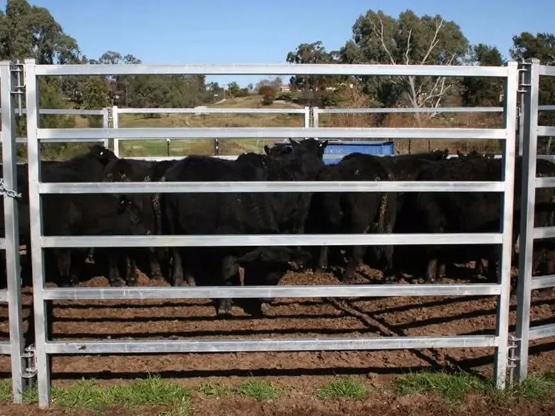 Cattle-Panel