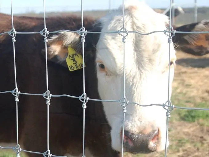 Cattle fence roll