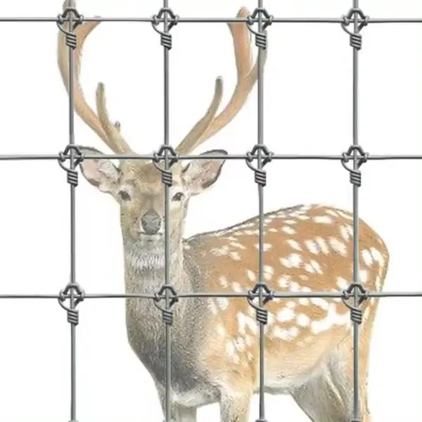 Deer Fence 4