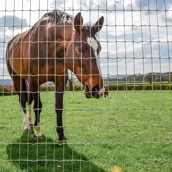 Cerca para cavalos 3