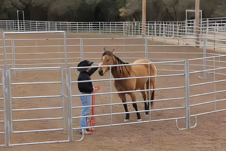 Painel de cavalos