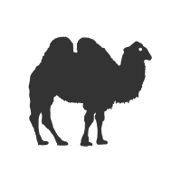 camel