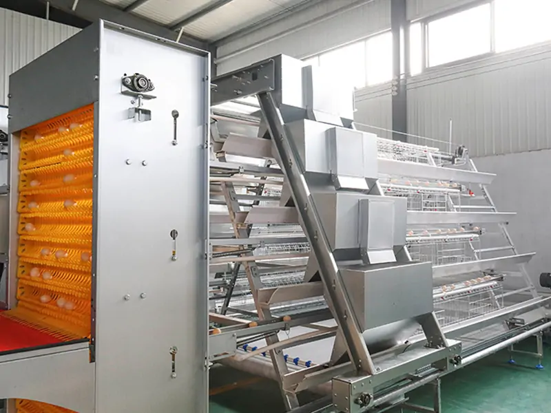 Fully automatic A type layer cages